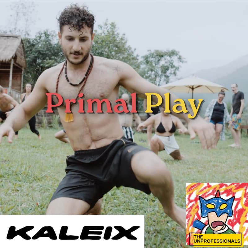 Cover Image for Primal Play