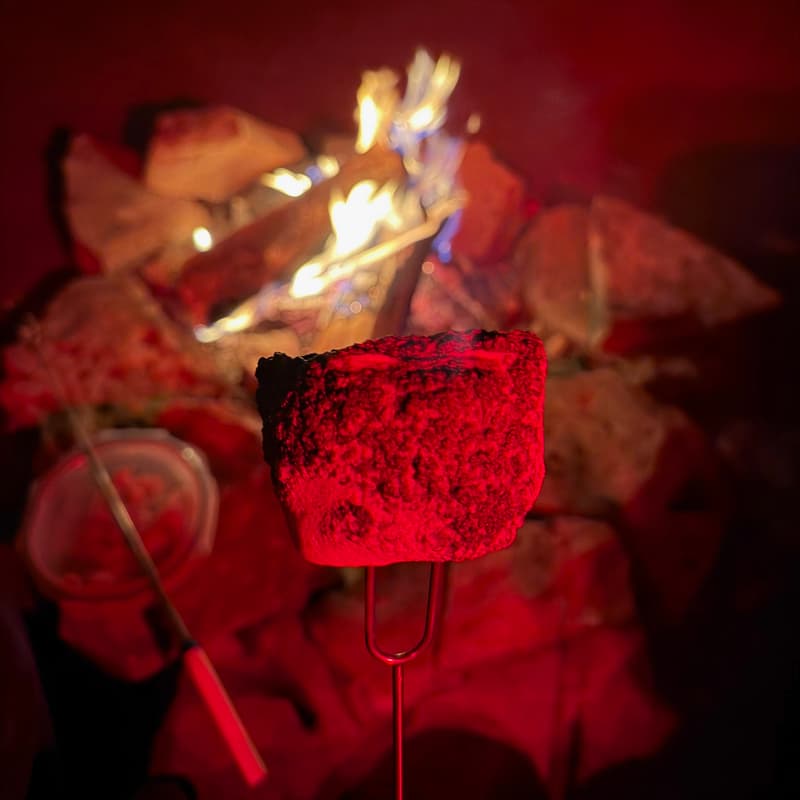 Cover Image for Beach Bonfire🌄