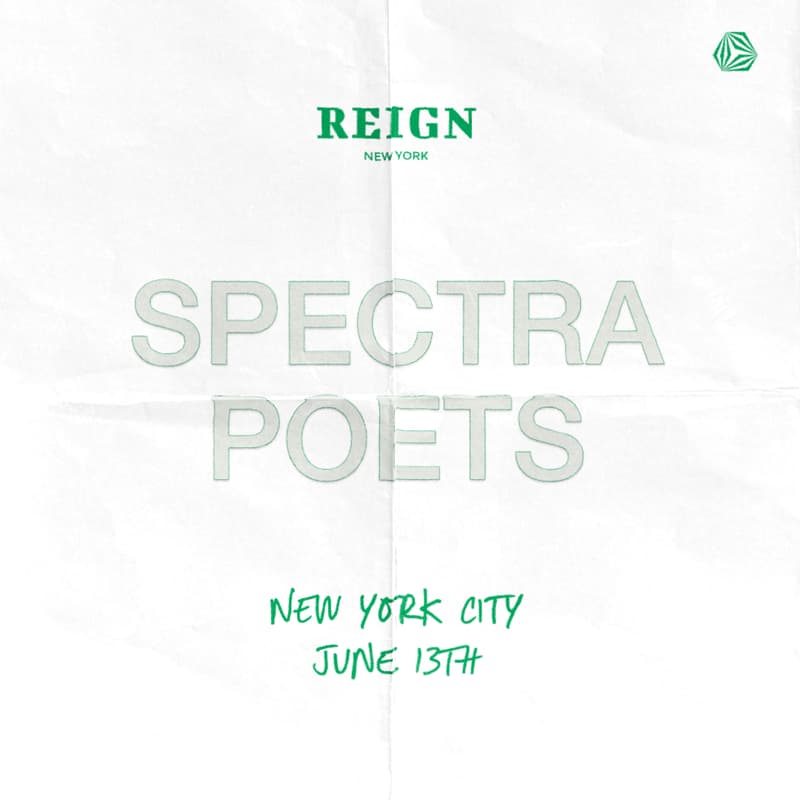 Cover Image for Spectra NYC Party