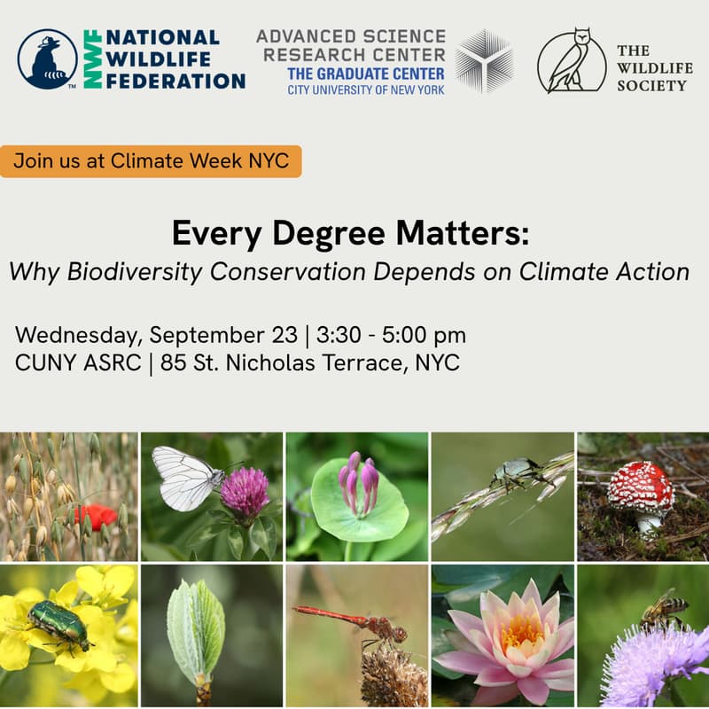 Cover Image for NYCW 2026 | Every Degree Matters: Why biodiversity conservation depends on climate action