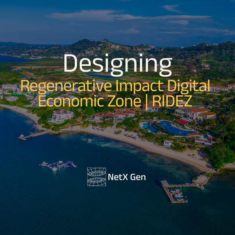 Cover Image for Designing a Regenerative Impact Digital Zone
