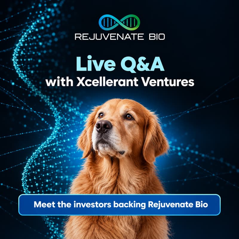 Cover Image for Live Q&A: Why Xcellerant Ventures Backed Rejuvenate Bio