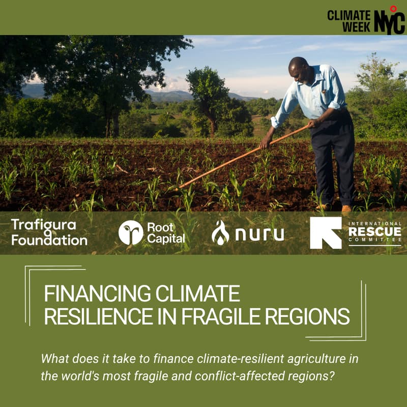 Cover Image for Financing Climate Resilience in Fragile Regions