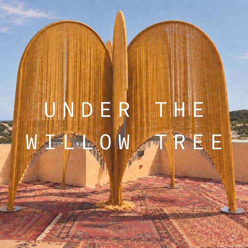 Cover Image for Under the Willow Tree: Sunrise Meditation