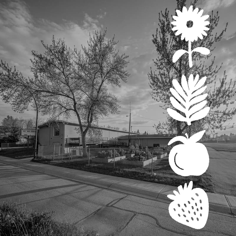 Cover Image for Growing Ideas Together: A Design Justice Workshop
