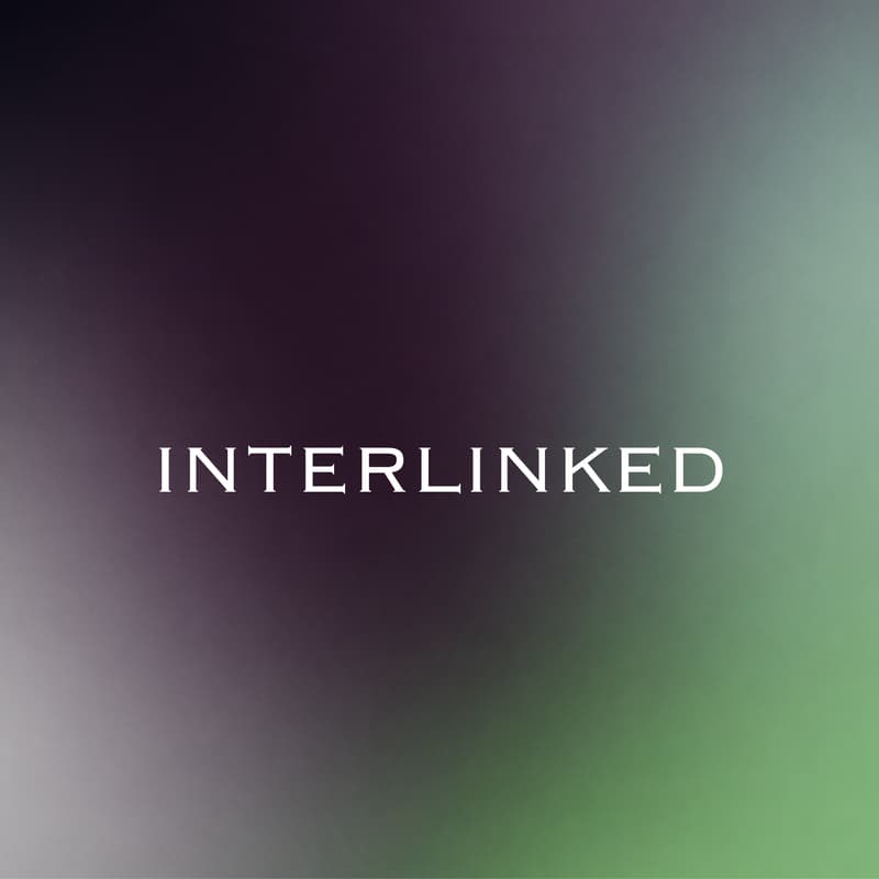 Cover Image for Interlinked Vilnius