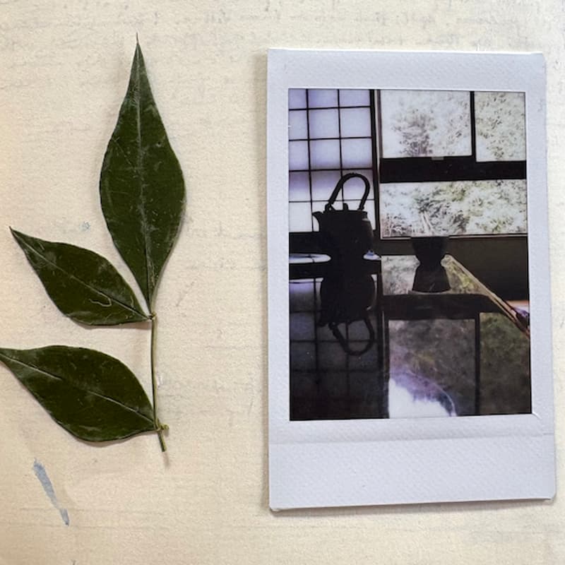 Cover Image for Drinking History - Jynsym Ong x Melody Li