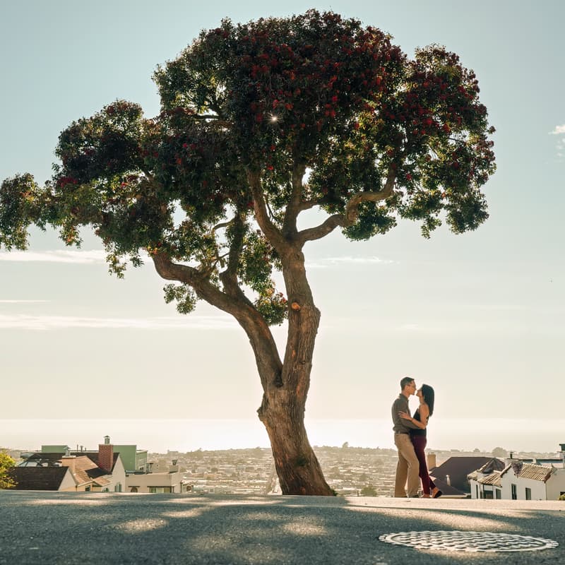 Cover Image for Nicky & Ben's Sangeet / Welcome Party