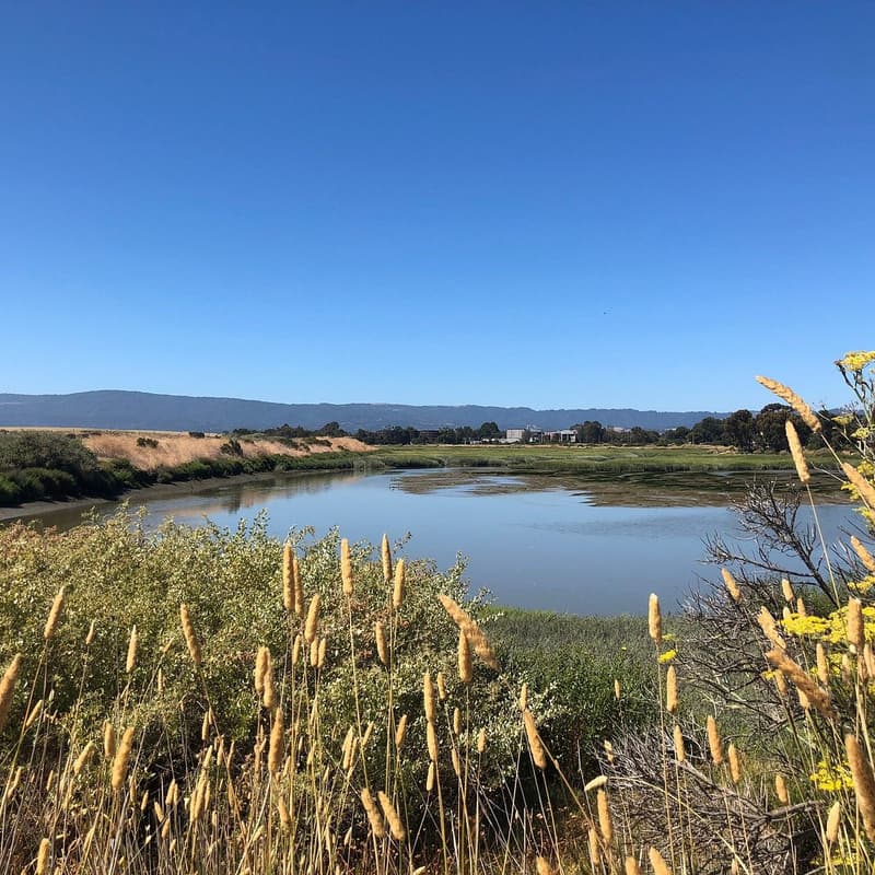 Cover Image for Hike - Palo Alto Baylands Nature Preserve [Climatebase Fellowship]