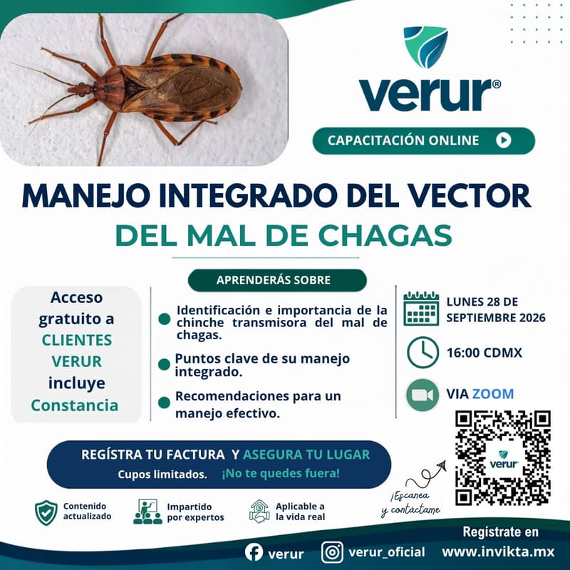 Cover Image for MIP DEL VECTOR DEL MAL DE CHAGAS