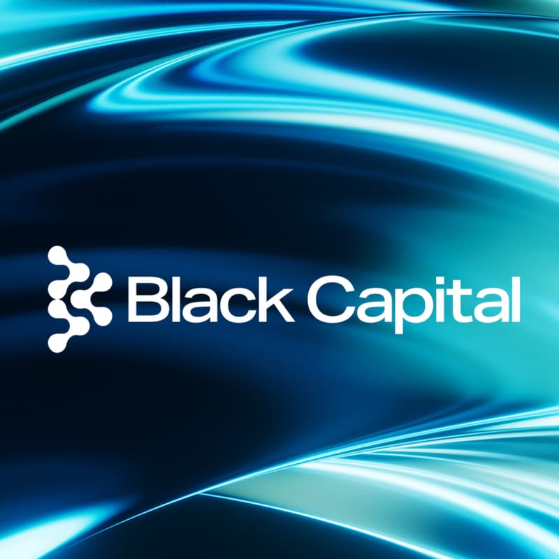 Cover Image for Black Capital
