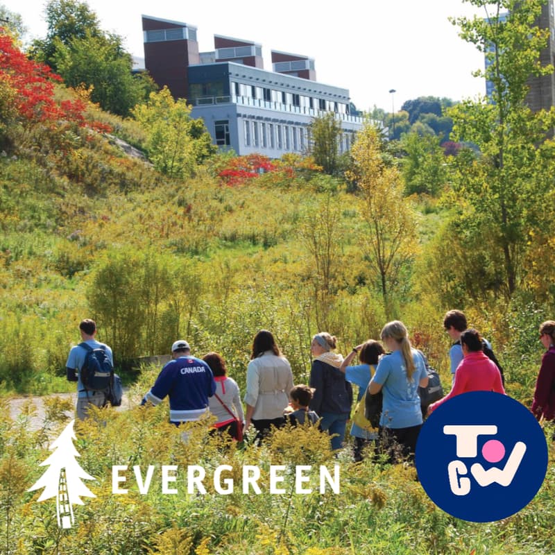 Cover Image for Evergreen Brick Work's Nature Tour