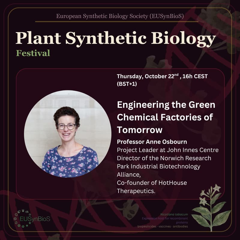 Cover Image for Engineering the Green Chemical Factories of Tomorrow with Anne Osbourn
