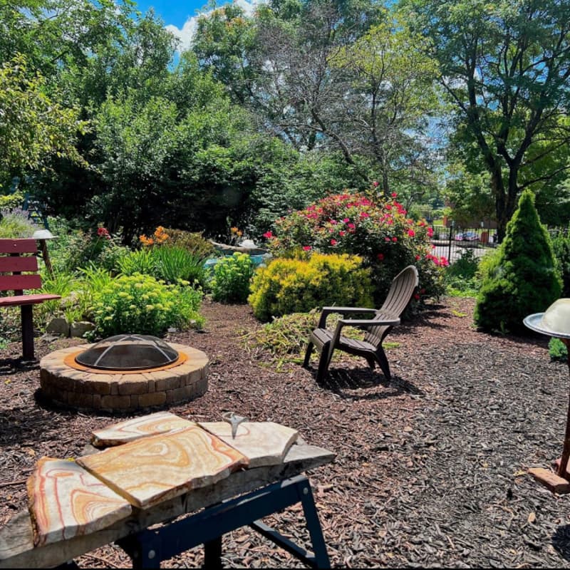 Cover Image for Plant & Sip