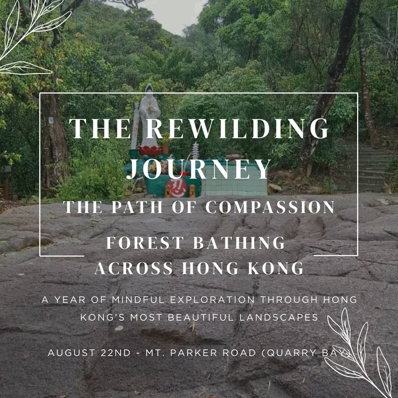 Cover Image for The Rewilding Journey: Forest Bathing Across Hong Kong | The Path of Compassion: Mt. Parker Road's Secret Shrines and Sunset Views