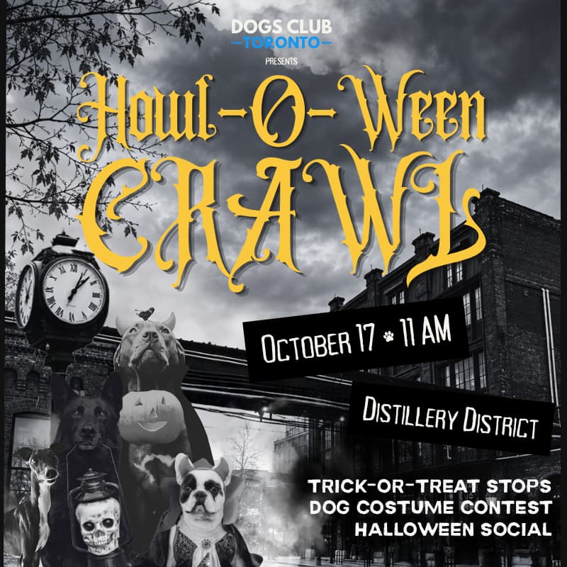 Cover Image for DOGS CLUB TORONTO HOWL-O-WEEN CRAWL 👻🐾