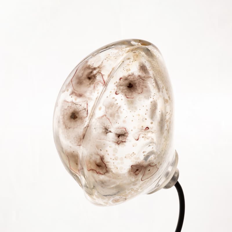 Cover Image for Fungi Croquis og maleri med mikrober- Rhoda Ting og Mikkel Bojesen
