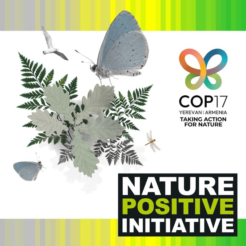 Cover Image for State of Nature Metrics: Getting started on your nature-positive journey