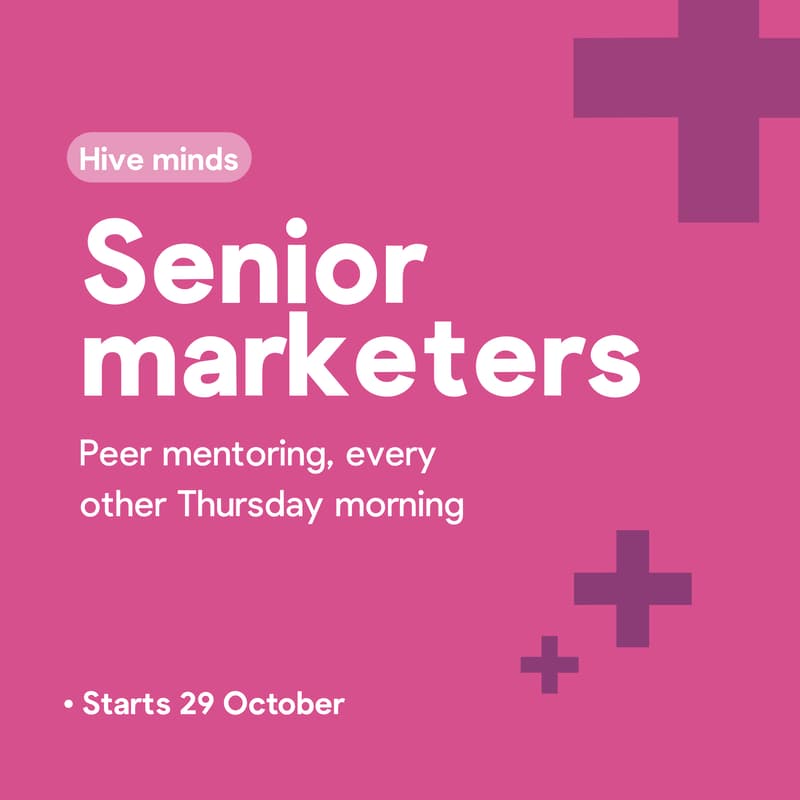 Cover Image for Hive minds: senior marketers