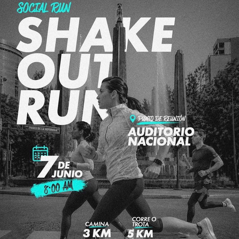 Cover Image for Shake Out Run