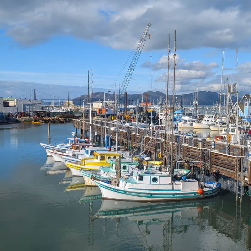 Cover Image for Fisherman's Wharf Forward Community Meeting 2: Concept Design Open House