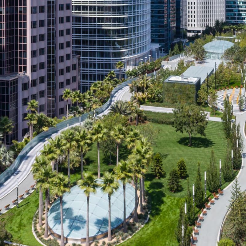 Cover Image for Picnic at Salesforce Park