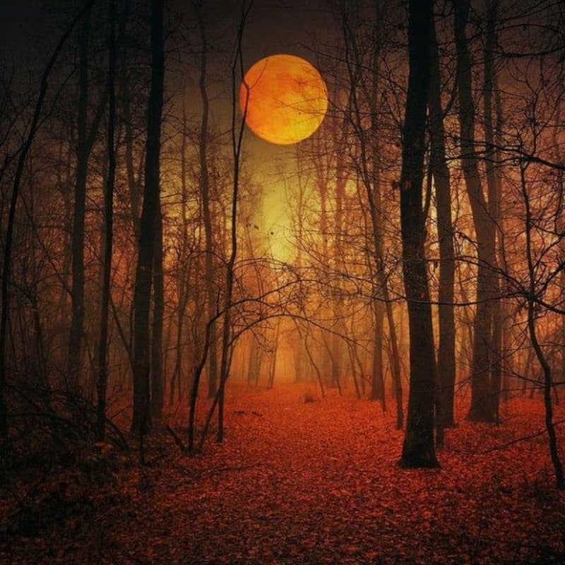 Cover Image for Harvest Spooktacular: A Gothic Fall Ball