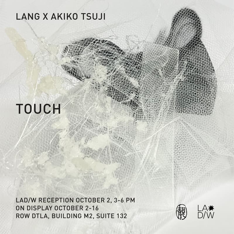 Cover Image for LANG