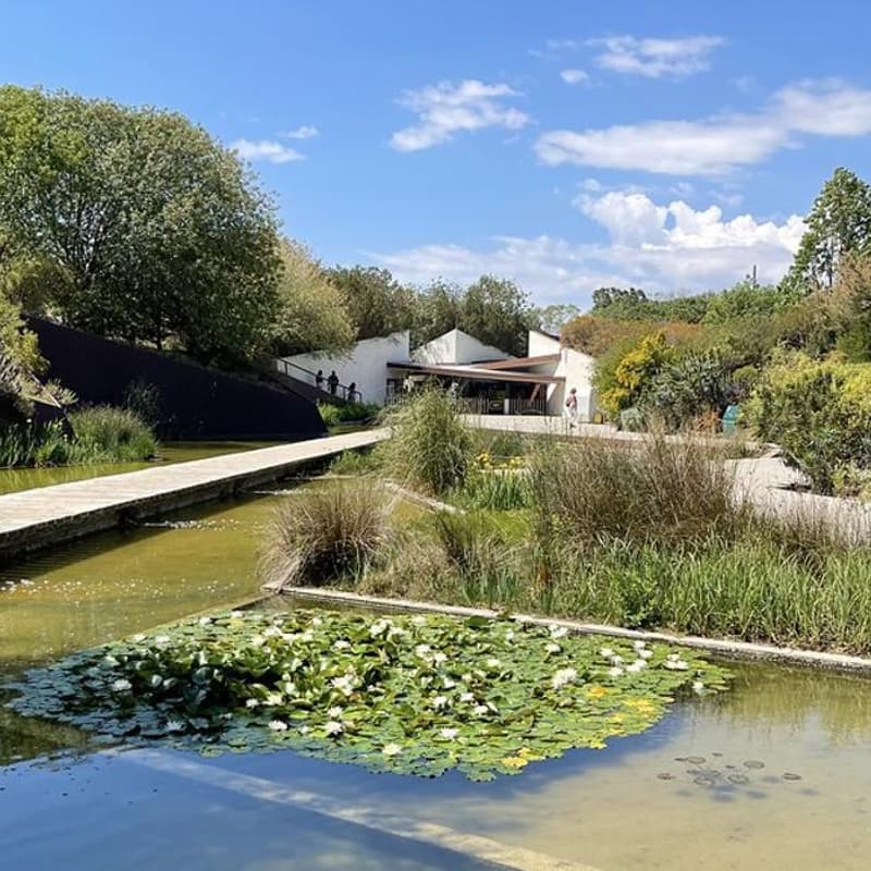 Cover Image for 🌿 Retiro Urbano en Montjuïc