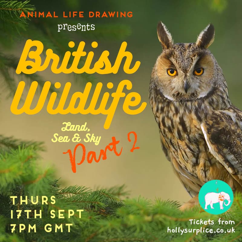 Cover Image for British Wildlife - Part 2