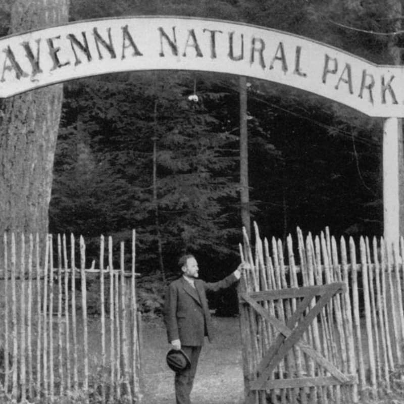 Cover Image for History of Ravenna Park Walking Tour