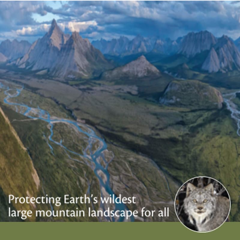 Cover Image for Yellowstone to Yukon Conservation Initiative (Y2Y) - Conservation through Connection