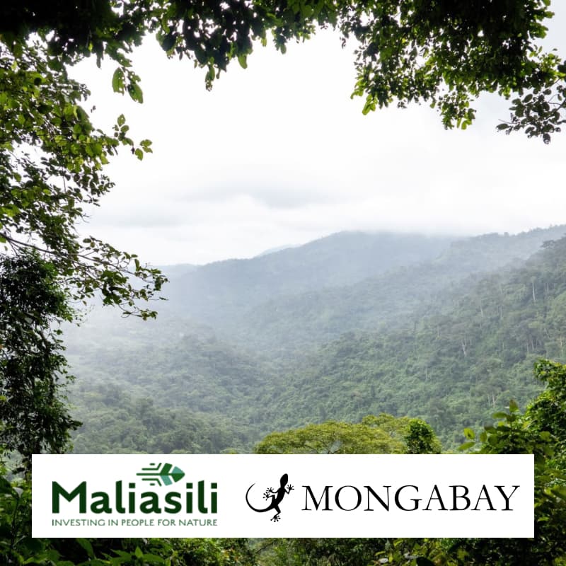 Cover Image for Financing conservation differently: Putting local leadership at the center