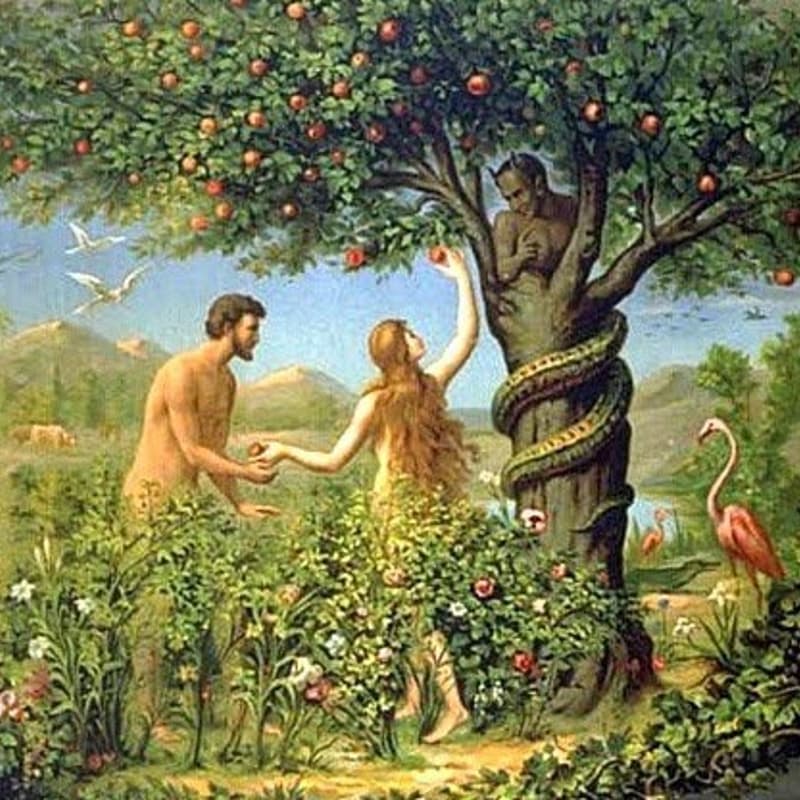 Cover Image for Is taste the right question we should be asking?