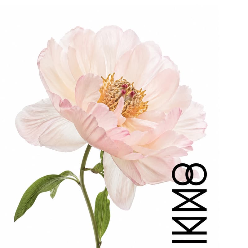 Cover Image for OMNI AI Cinema Lab: 麻布 コインシデンス Azabu COINCIDENCE