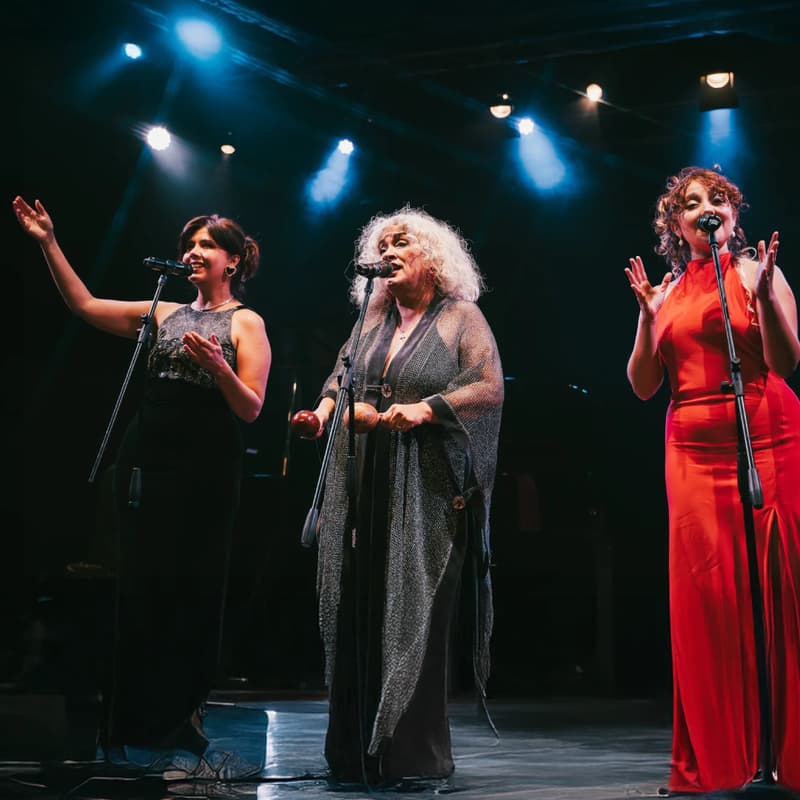Cover Image for Fiesta de las raíces |Concierto: Bolero Falaz