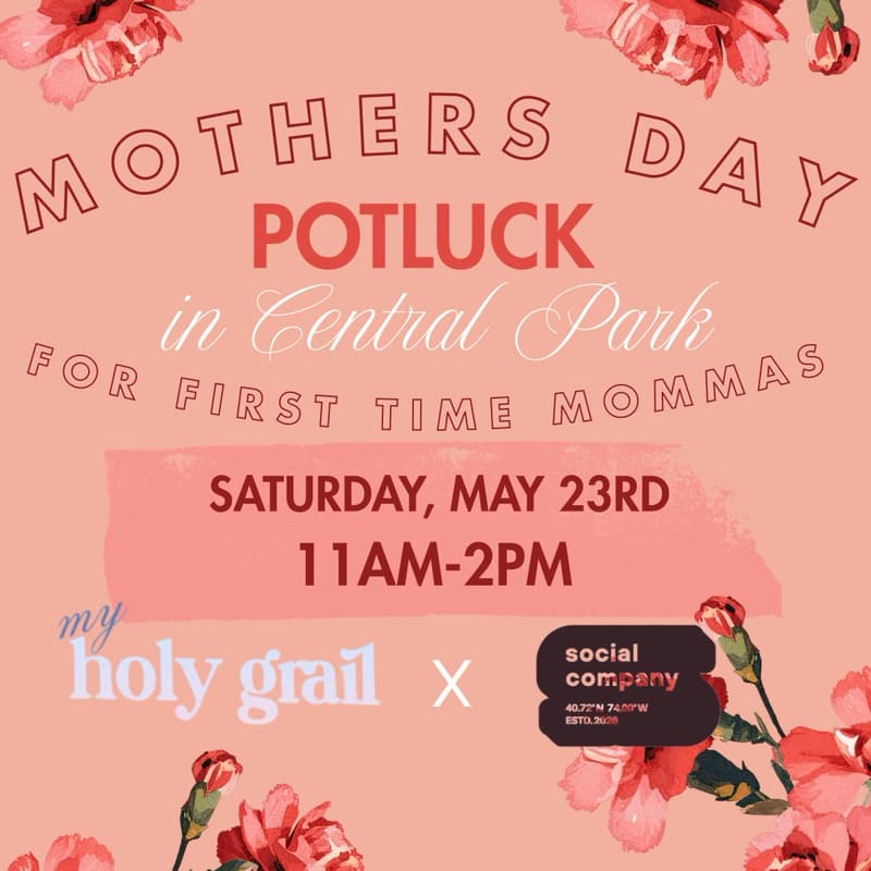 Cover Image for POSTPONED- It Takes a Village: A Mother's Day Potluck for First-Time Moms