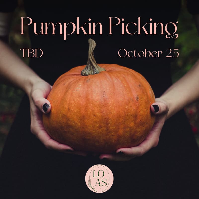 Cover Image for Pumpkin Picking!