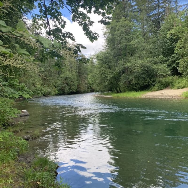 Cover Image for Glenora Trails Head Park to Cowichan River Loop