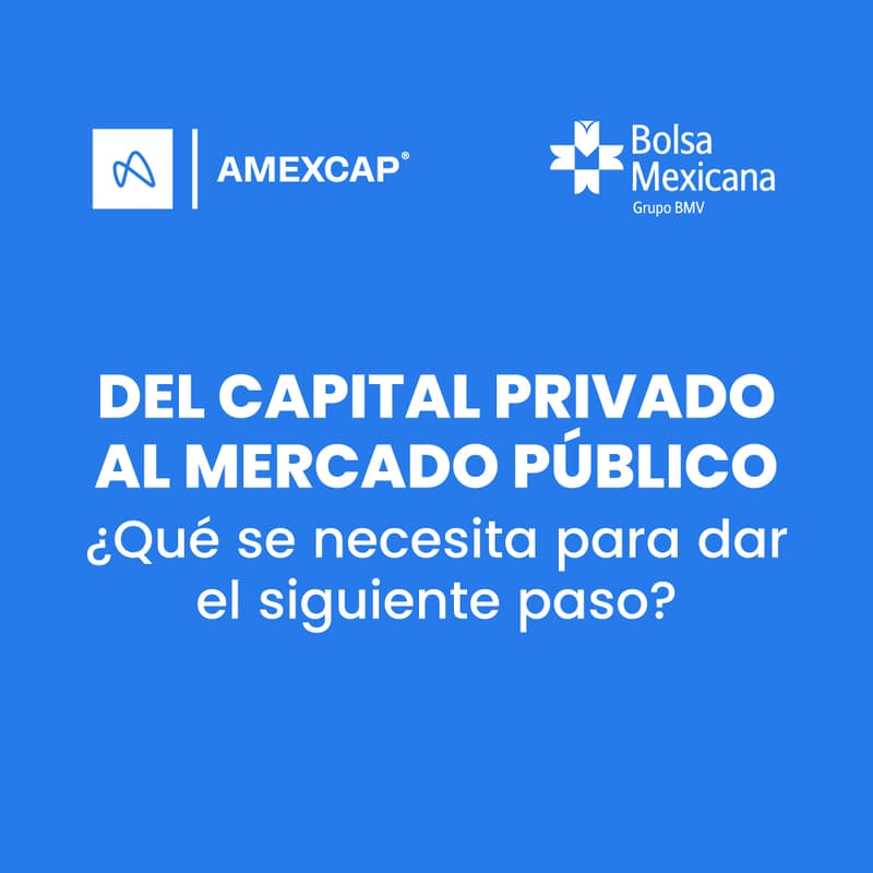 Cover Image for Del Capital Privado al Mercado Público