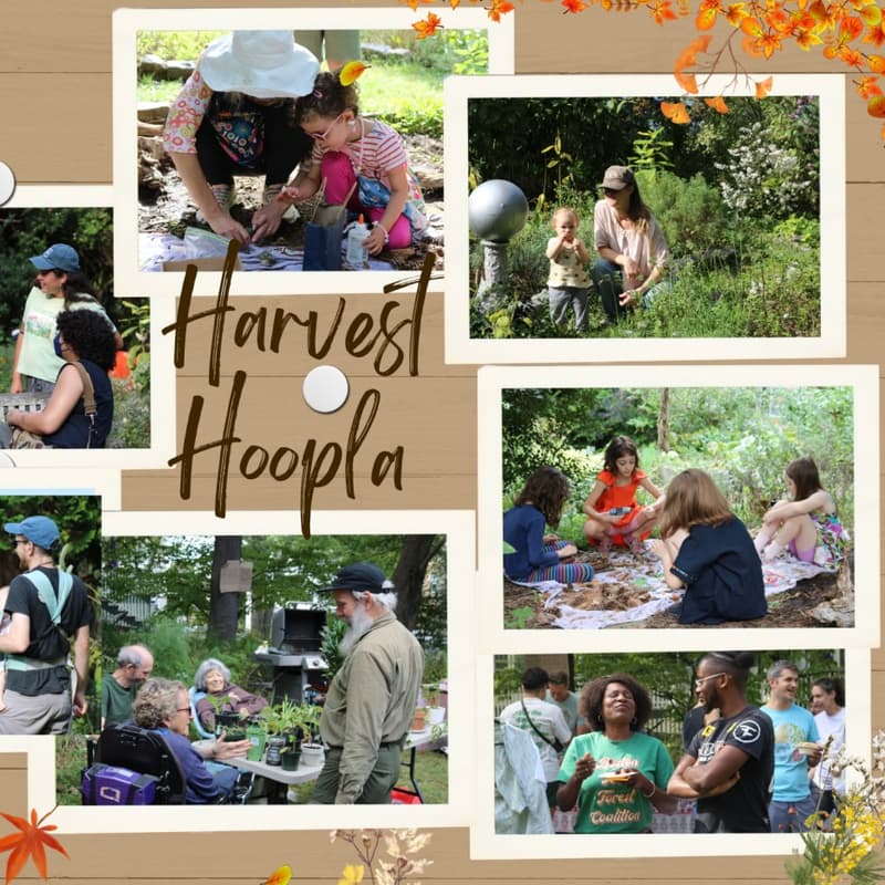 Cover Image for Leland Garden Harvest Hoopla