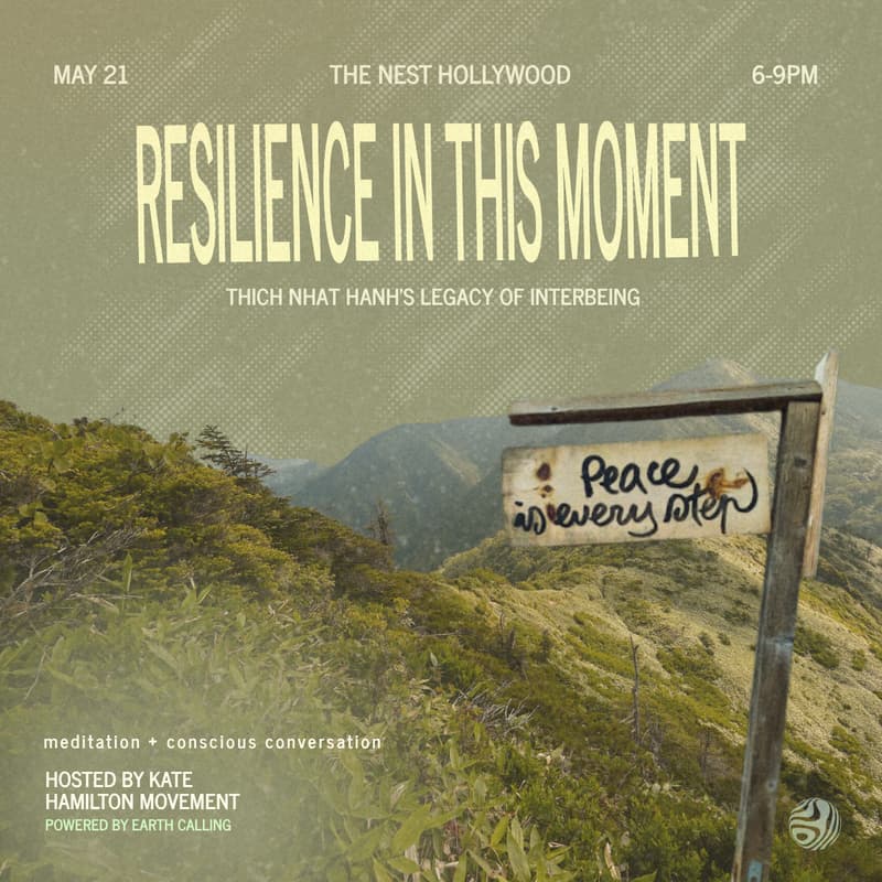 Cover Image for Resilience In This Moment - Thich Nhat Hanh’s Legacy of Interbeing