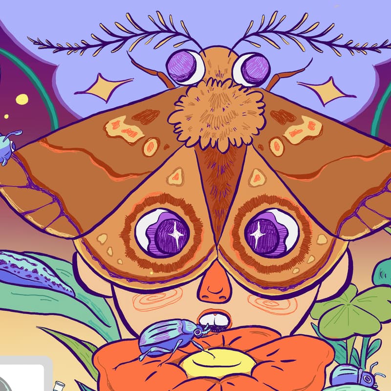 Cover Image for Moth Night at the Schuylkill Center for Environmental Education