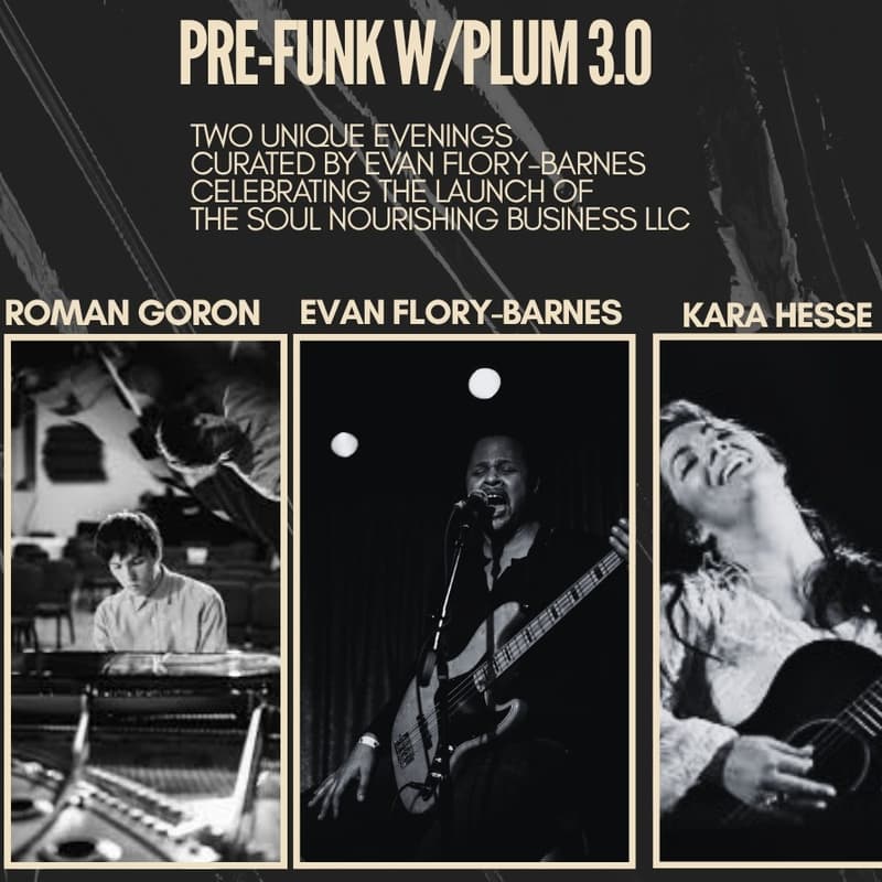 Cover Image for Pre-Funk With PLUM 3.0