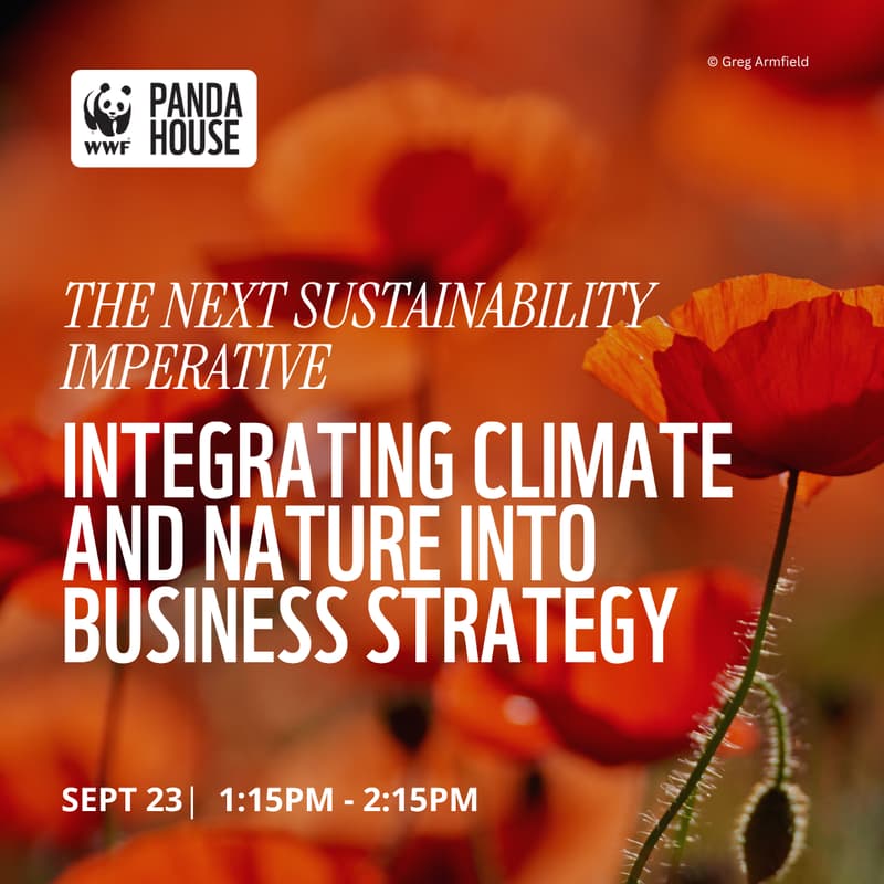Cover Image for The Next Sustainability Imperative: Integrating Climate and Nature Into Business Strategy