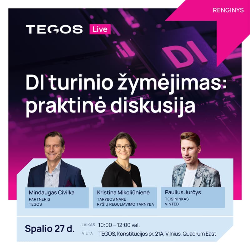 Cover Image for DI turinio žymėjimas: praktinė diskusija