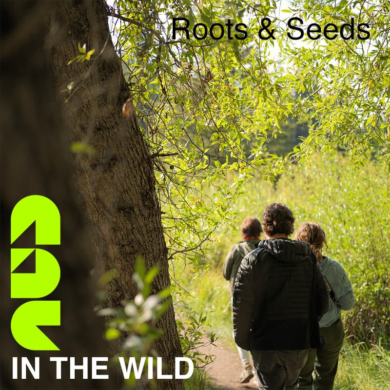 Cover Image for Roots & Seeds: Ethnobotany Hike