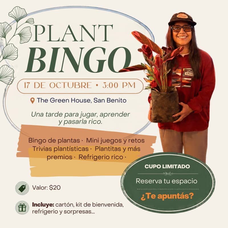 Cover Image for Plant bingo Vol.2🪴✨
