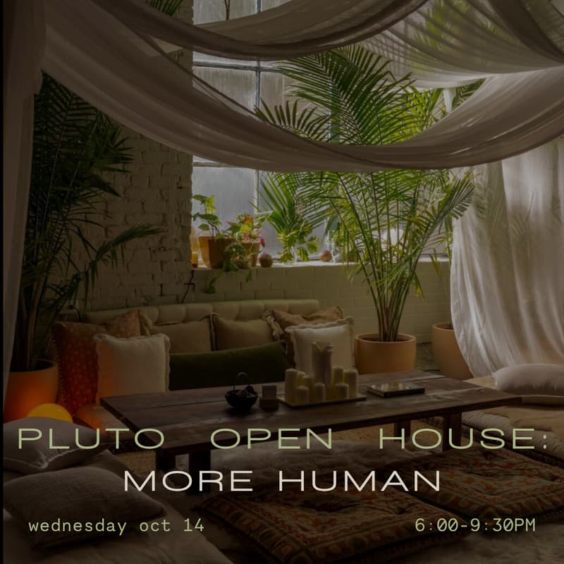 Cover Image for PLUTO OPEN HOUSE: MORE HUMAN