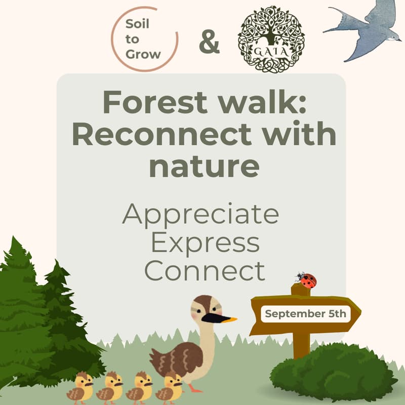 Cover Image for Forest walk: Reconnect with nature
